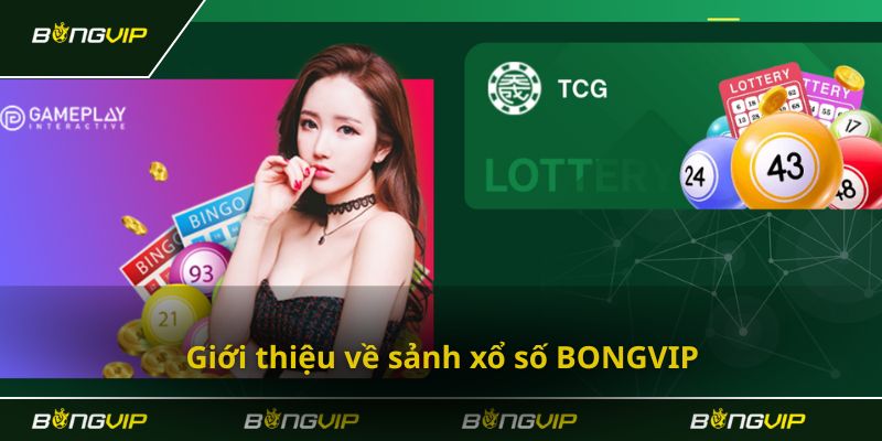 Xổ số Bong vip - Địa điểm lý tưởng chơi săn thưởng lớn
